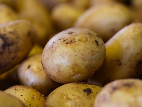 Smetanové zapečené brambory s česnekem